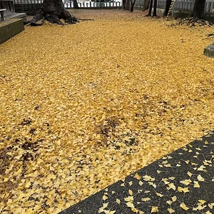 IMG_4790.webp