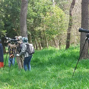 Bird_watchers.webp