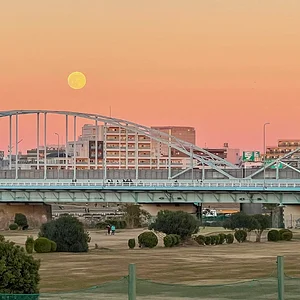 tama-bridge-2.webp