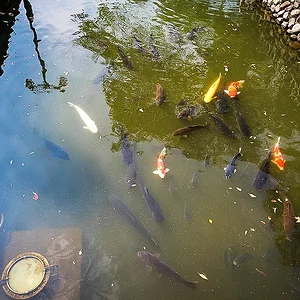 Ashikaga Banna-ji