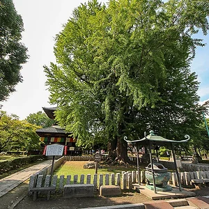 Ashikaga Banna-ji