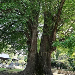 Ashikaga Banna-ji