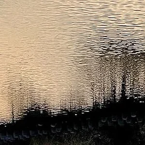 Image.webp