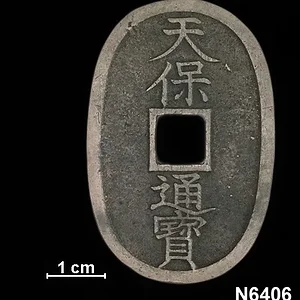 N6406_Reverse.webp