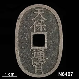 N6407_Reverse.webp