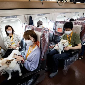Japan4.jpeg