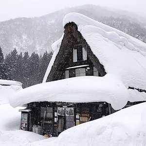 Shirakawago