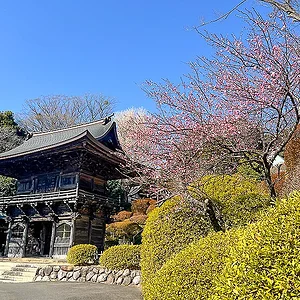 temple.webp