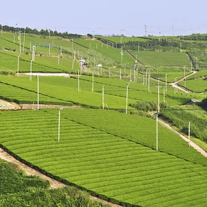 photo_l.jpg