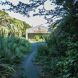 Jungle Park