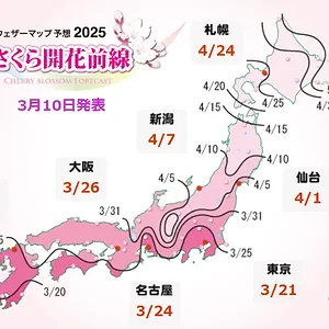 1741619781430.webp