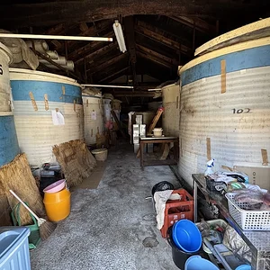 vats.webp
