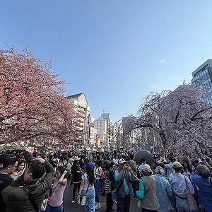 ueno03.webp
