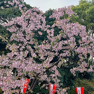 ueno04.webp