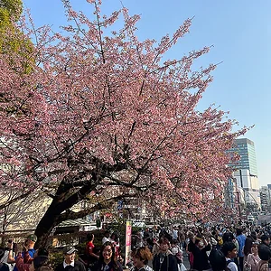 ueno05.webp