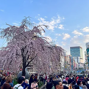 ueno06.webp