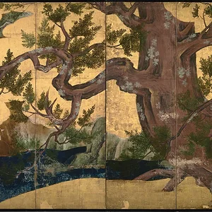 Cypress trees