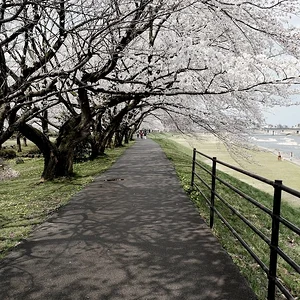 DSCF1820.webp