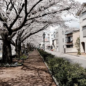 DSCF1826.webp