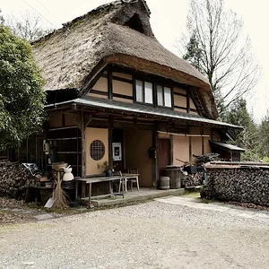 123.webp