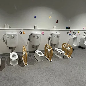 Toddler toilets