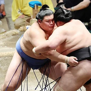 Onosato secures fourth title, to be promoted to 75th yokozuna