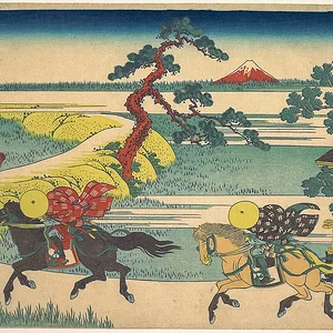 Sekiya Village on the Sumida River