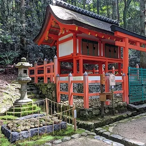 Nara June 2025