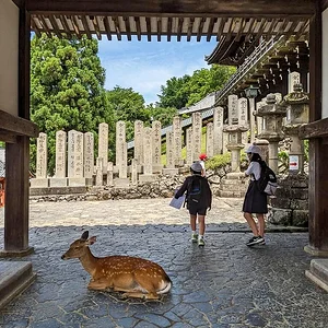 Nara June 2025