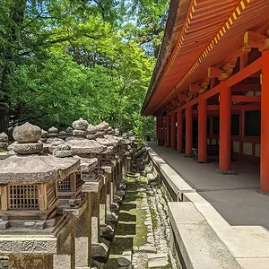 Nara June 2025