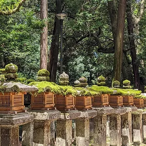 Nara June 2025