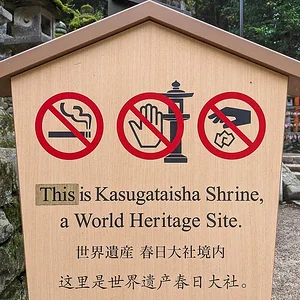 Nara June 2025