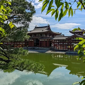 Uji