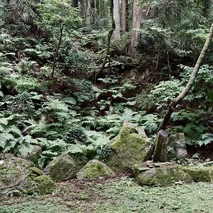 22.webp