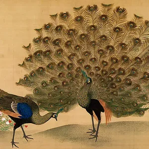 Peacock and peahen