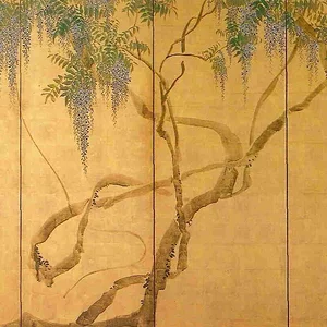 Wisteria