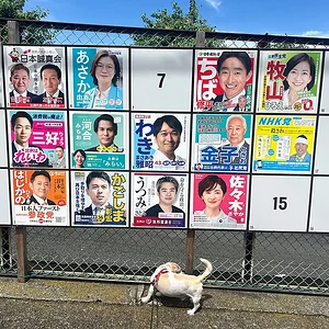 upper-house-election-2025.webp
