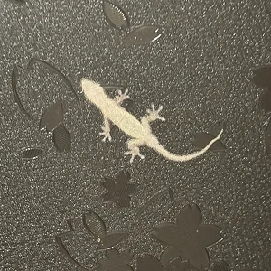 gecko2.webp