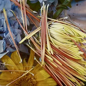 DSCF2075.webp