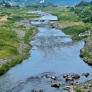 Tamagawa
