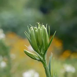 DSCF2093.webp