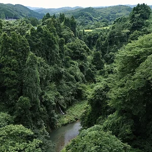 DSCF2145.webp