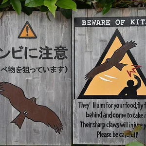 Kamakura Hasedera