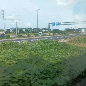 IMG_20250929_143019.webp