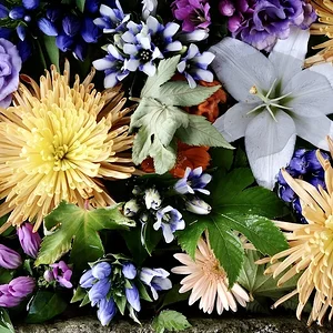 DSCF2359.webp
