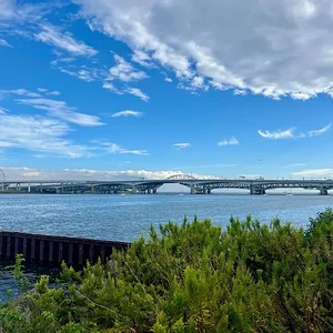 arakawa.webp