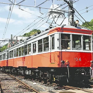 moha-1.webp