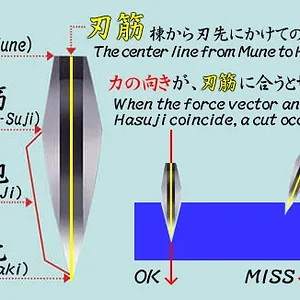 image10.webp