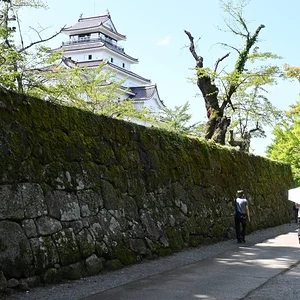 Tsuruga Castle