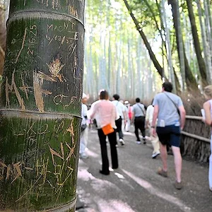 Arashiyama bamboo forest